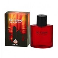 Homme Collection EDT 100ml Heat